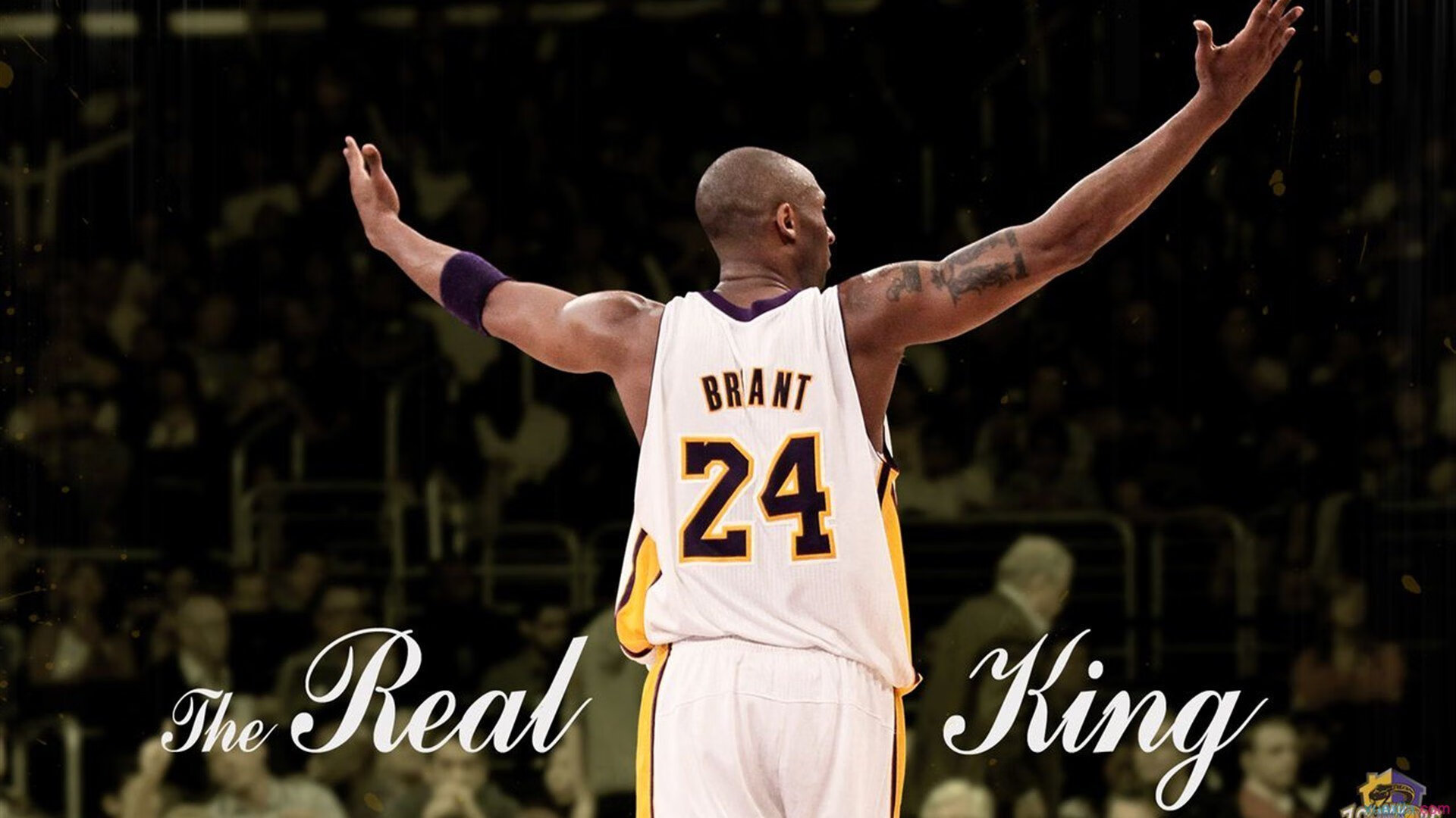 CBA球队全面升级体能管理体系,cba身体素质要求