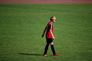 星空体育官网入口-中国足球职业俱乐部球员转会市场活跃度提升，中国足球协会球员身份与转会管理规定